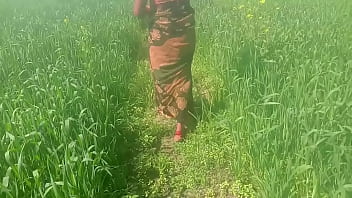 Wheat Field Rubbing Ke Chod Dehati Video